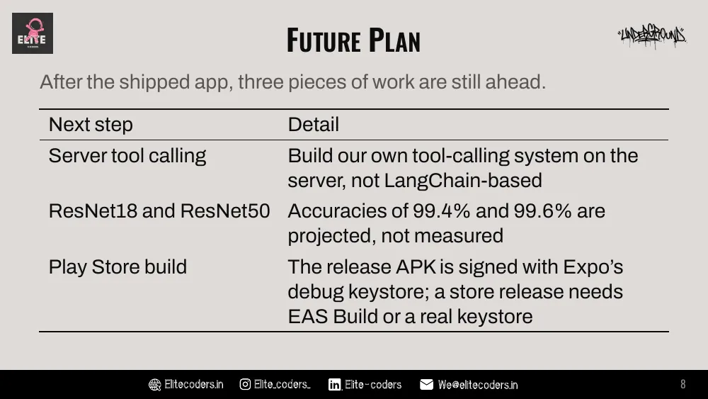 Future Plan: a table of the next steps