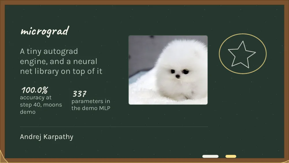 micrograd, first slide